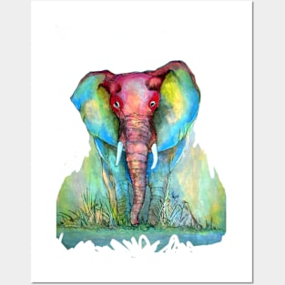 Elephant - small Posters and Art